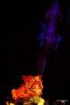 /album/quand-limaginaire-rentre-le-reel-ou-lille-3000/deux-dragons-jpg/